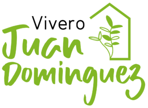 Logotipo del modo claro de Prespa 